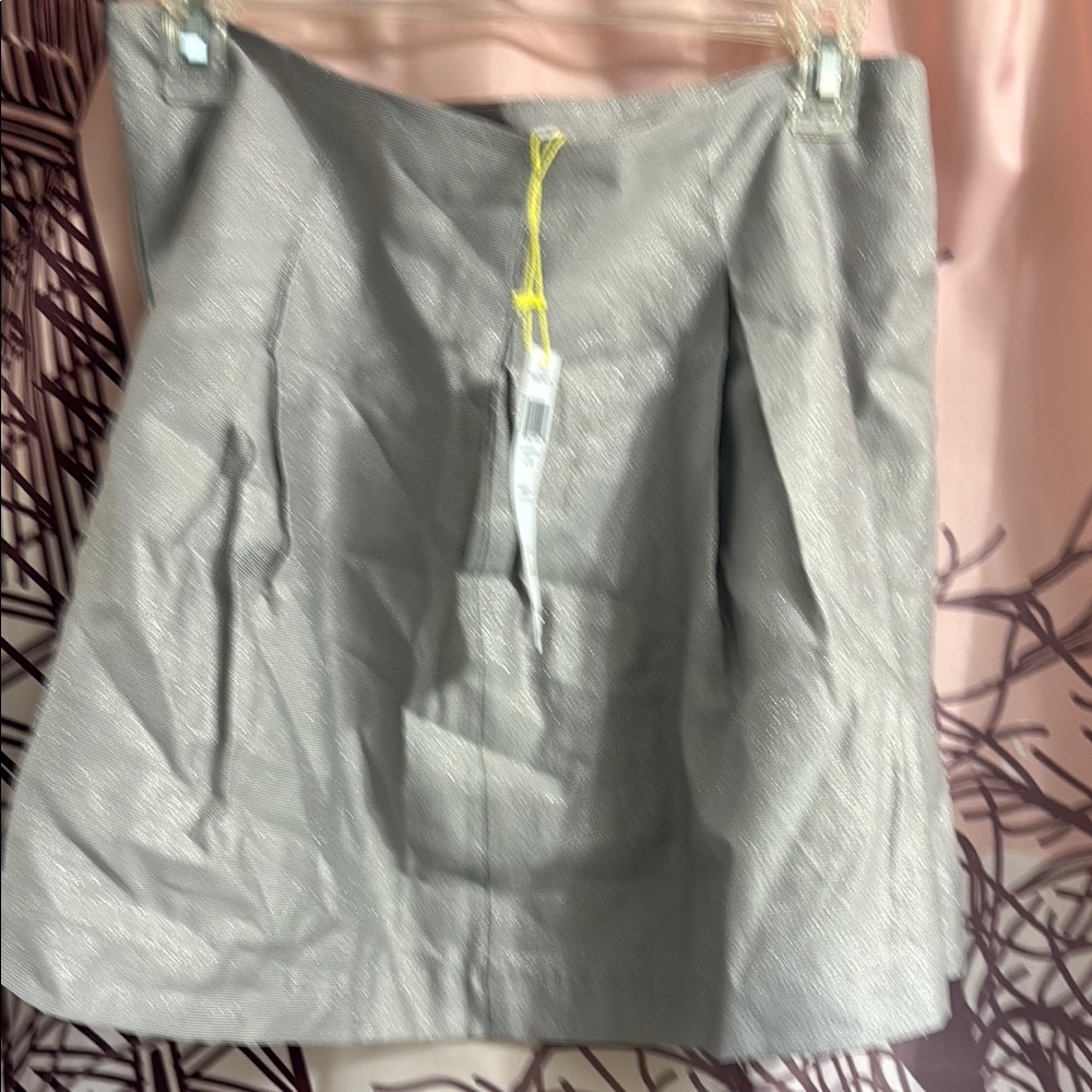 Chic Silver Skirt